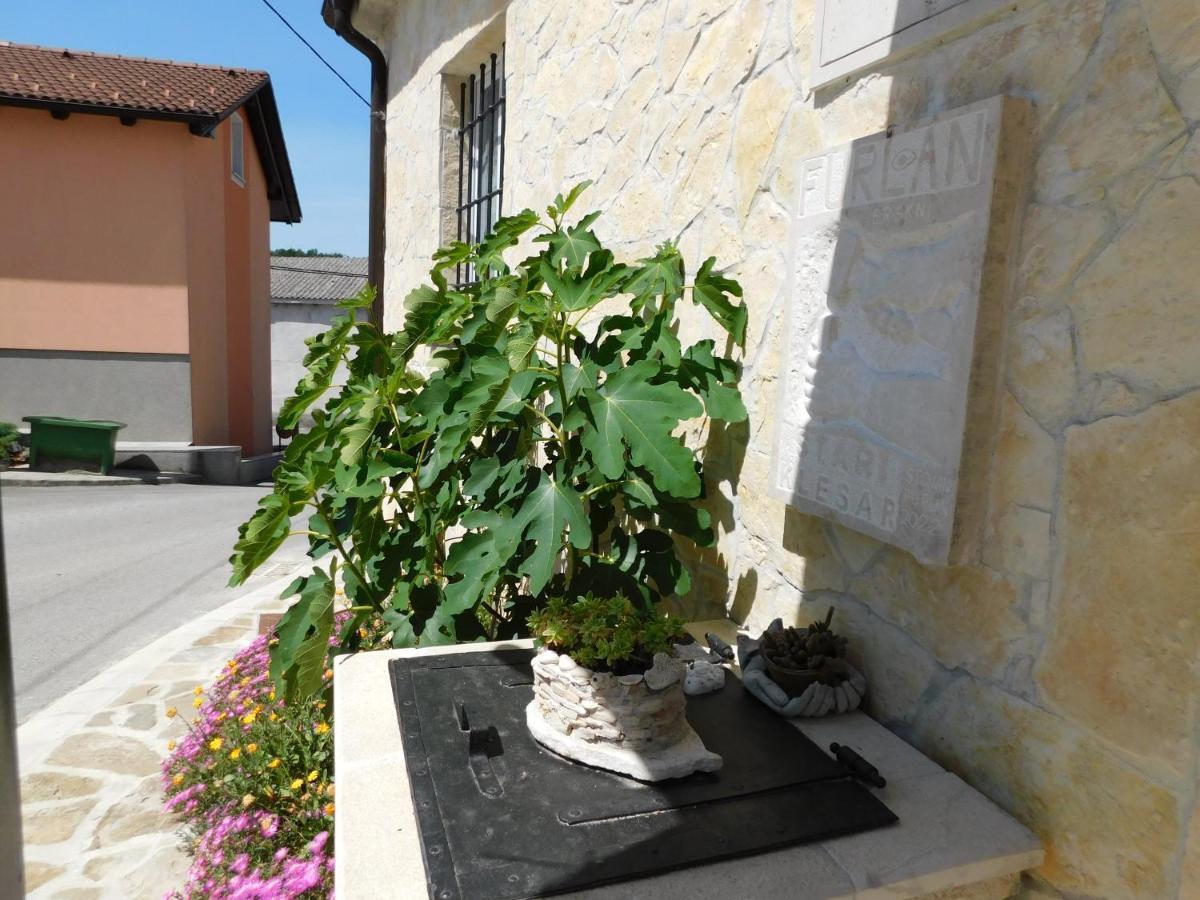 Villa Kamnita Hisa Stari Klesar à Ilirska Bistrica Extérieur photo